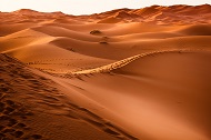 Dawn-desert-dry-273935